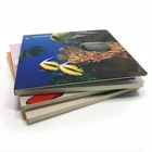 Pantone Printing Book Services Chinese Supplier Children's Book Cheap Pantone Color Hardcover Book Printing Service