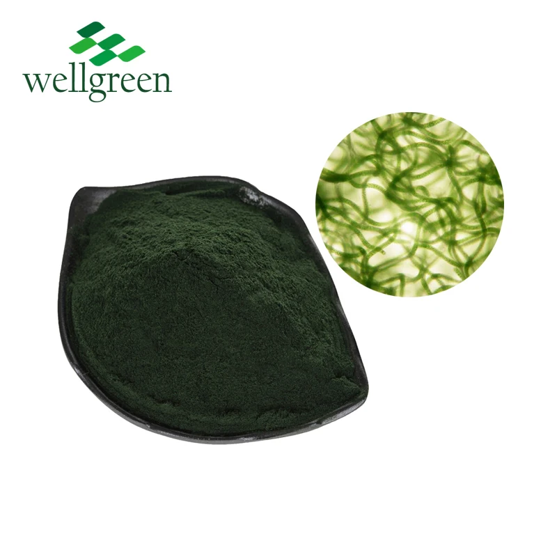 Natural plant spirulina cattle feed for cattle feed additives
