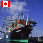 Chine Professional Freight Forwarder Shipping Chine To Canada Door To Door