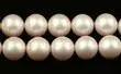 Shell Beads Shell Shell Pearl Plain Round Gemstone Beads SL55313