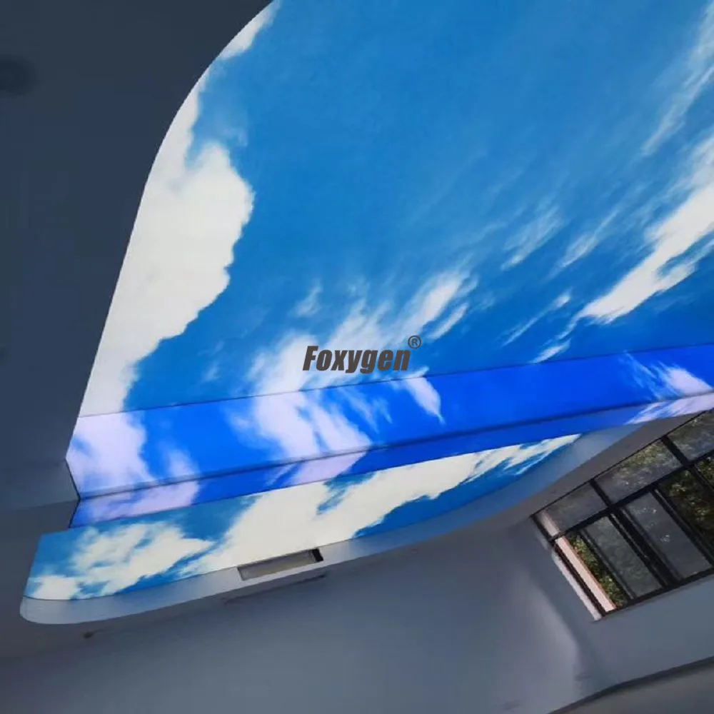 展示3
