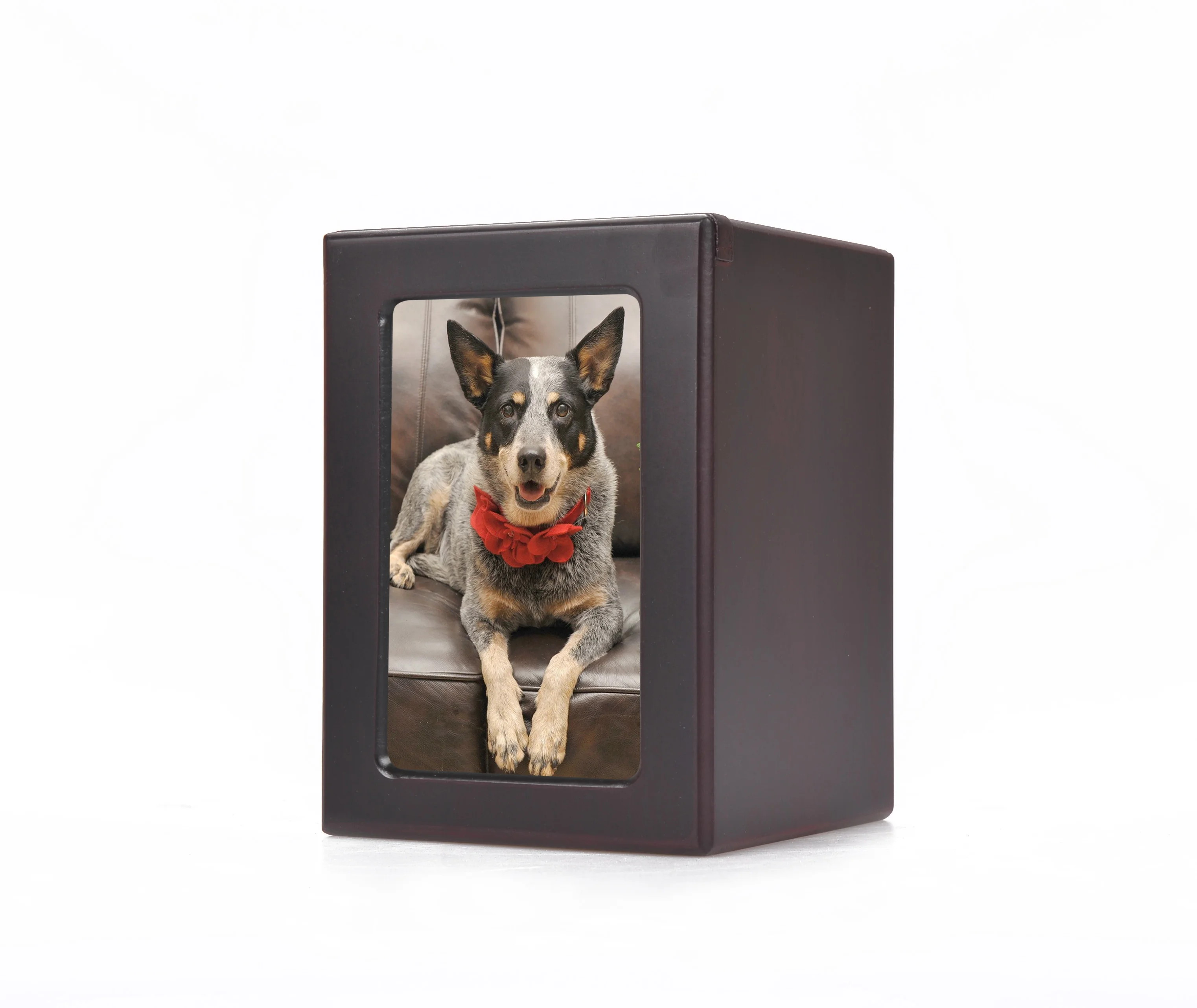 pet ashes photo frame
