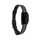 Gps Gps For Cats Real Time Tracking Smart Geo Fencing Pet Collar GPS Tracker For Dog Cat