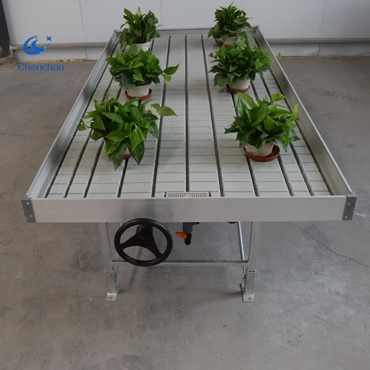 hydroponic growing table