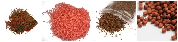 fish feed samples123