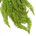 Leaves Plastic Plants Wholesale Faux Decorative Wall Plastic Willow Branches Leaves Vines Artificial Vine Plants