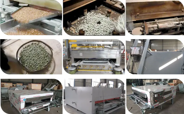 Rock Baking Roasted Peanut Roaster Oven Swing Coated Cashew Macadamia Nut Cocoa Bean Roasting Machine details