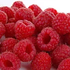Chinese Fresh IQF Frozen Raspberry