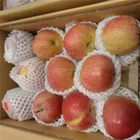 Pear Fruit Net PE Colorful Fruit Foam Net For Apple Pear Papaya