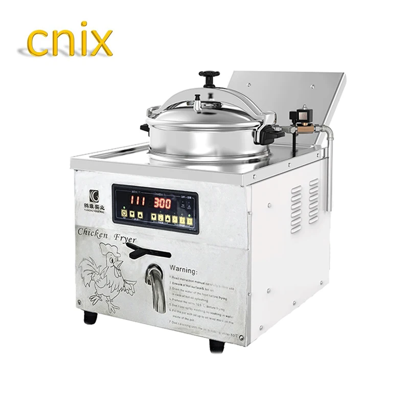 chicken pressure fryer for sale