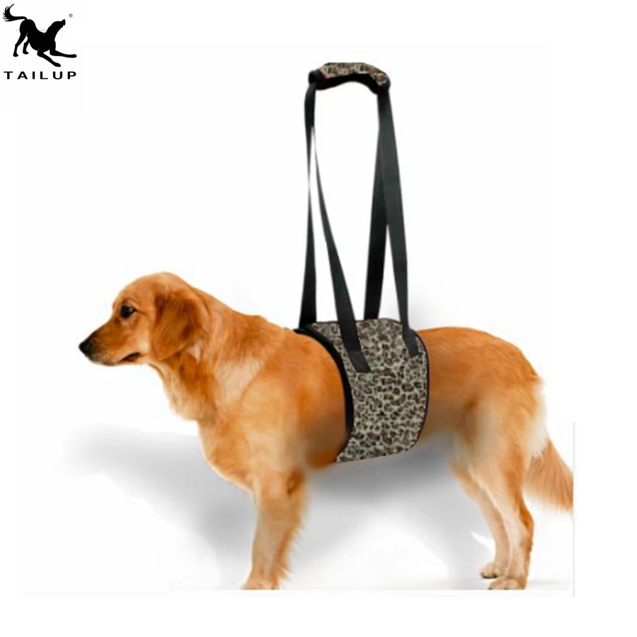 tailup dog carrier