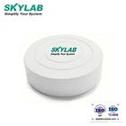 Ibeacon SKYLAB Small Ble Beacon To Eddystone IBeacon UUID Major Minor Programmable Long Broadcasting Distance Beacon