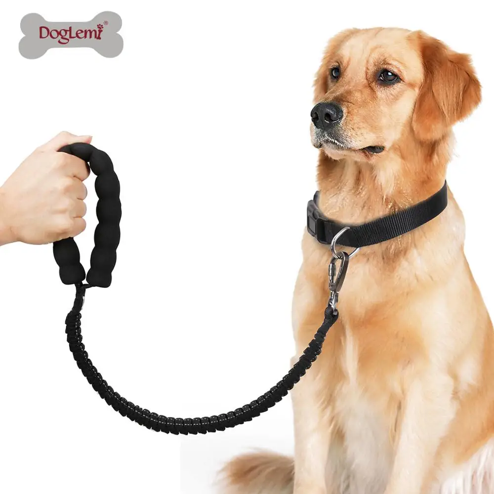 anti shock dog leash