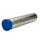 Pipe Cap China Supplier Custom LDPE Plastic Pipe End Protection Cap
