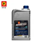 Oil Saudi Hot Sale 2t 20w 50 Motorcycle Engine Oil Filter Saudi