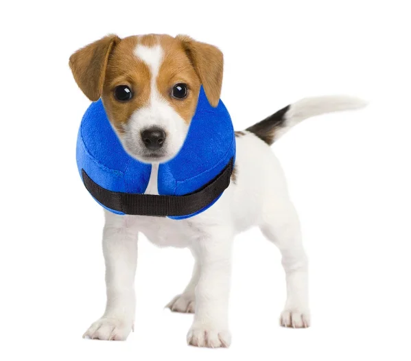 inflatable collar for dogs