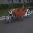 Cargo Electric Bike New Hot Sale Inter 3 Speeds 26inch Electric Cargo Bike/bicycle/cycle UB9016E
