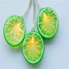 Lemon String White String Light 10 LED Warm White Battery Powered Orange Lemon String Light For Home Decoration