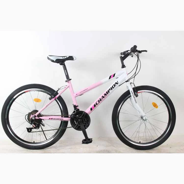 ladies bike 24 inch wheel