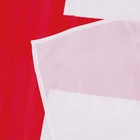 Cross Red Cross White Background St. George's Cross Flag