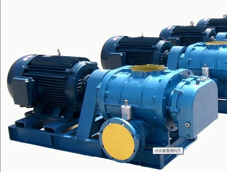 Roots Vacuum Pump, 380v, Electric - detail 16