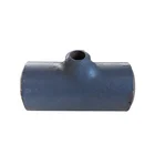 Asme Pipe Reducer Asme B169 Bw ANSI A234 WPB Welded Equal Tee Pipe Fitting Reducer Tee