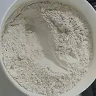Aztec Secret Indian Healing Clay Calcium Bentonite Clay Facial Musk Clay