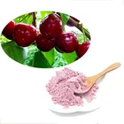 Cherry Organic Natural Water Soluble Fresh Cherry Fruit Extract Powder