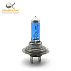 Halogen Bulb Halogen H7 Bulb 12v H7 12v 55w Super White Car Head Light Autolamp Halogen Bulb Factory