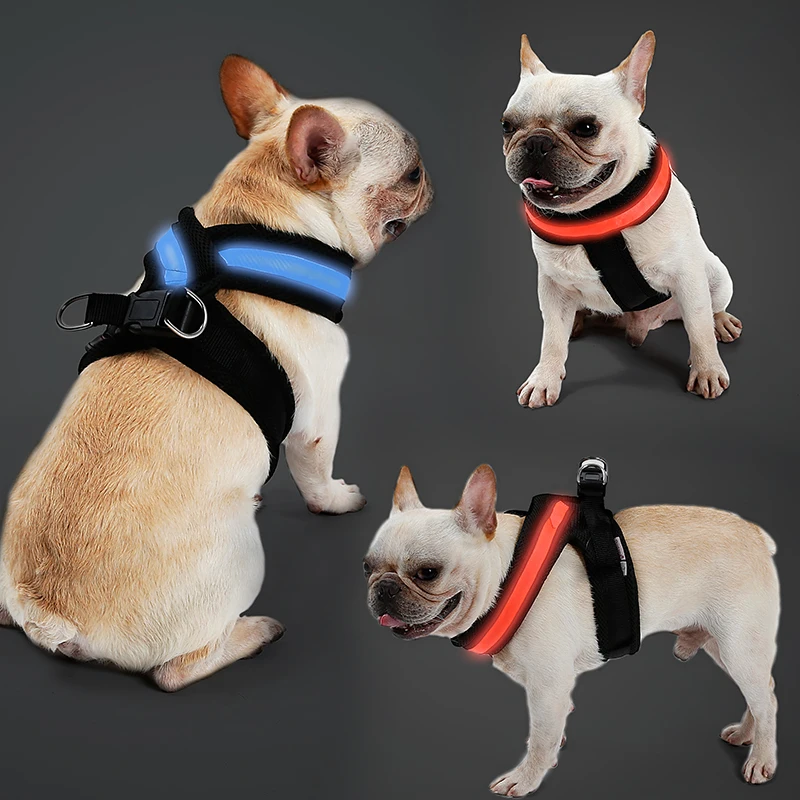 doglemi harness