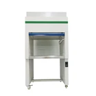 Laminar Hood Factory Supply High Quality Portable Vertical Laminar Flow Hood Table Clean Bench With Cheap Price