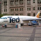 Excellent design giant inflatable plane for advertising