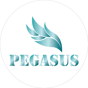 Zhejiang Pegasus Technology Co., Ltd.