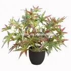 Red Tree Trees Maple Tree Good Quality Beautiful Design Yiwu Artificial Red Japanese Maple Table Tree