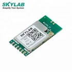 Wireless Mini SKYLAB FCC CE MT7601 USB 802.11b/g/n Wireless Wifi Camera Module Mini