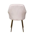 2021 Pink Fabric Living Room Chairs Dining Chairs Living Room Sofas Sofa Set Furniture Banquet Chair
