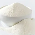 Nutritional Nutritional Supplement Bifidobacterium Bifidum
