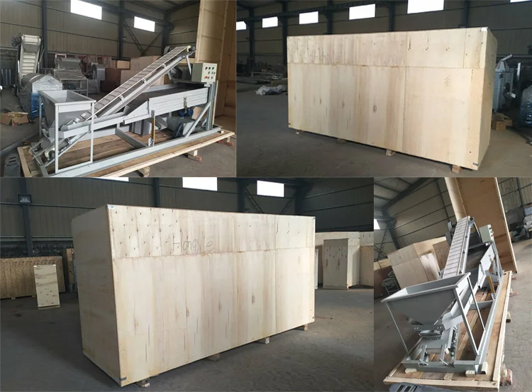 China Manufacturer's New Stainless Steel Automatic Peanut Groundnut Grading Sorting Machine Motor Engine Nuts Corn Soybean manufacture