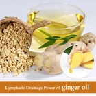 NEW Lymphatic Drainage Ginger Oil 100% PURE Natural 30ml For Man Women