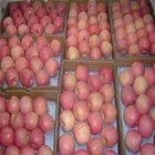 Fuji Apples Apple Fujiapple China Fresh Fuji Apples 5 Layers Red Blush Fuji Apple