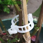 Eco-friendly biodegradable PLA(polylactic acid) tomato plastic clips/greenhouse agriculture plastic clip.