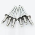 Rivets Blind Rivet China DIN7337 M6 316/304 Stainless Steel Waterproof Csk Head Blind Rivets Blind