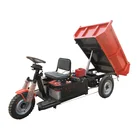 Licheng Machinery Factory Motorcycle 3 Wheel Motora Tricycle Adult