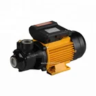 Best Selling Domestic Water Pumps Price