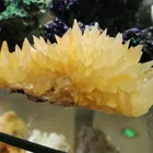 Citrine Natural High Quality Yellow Citrine Quartz Crystal Ornaments Cluster