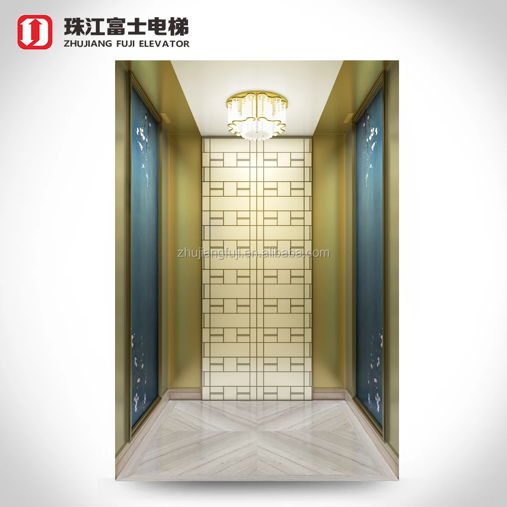 Fuji hd elevator manufacturer business outdoor car lift elevator price for luxury elevator