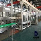 PET Bottle Filling Machine Purified Water Manufacturing Equipment