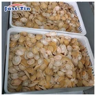Abalone Abaloneabalone New Zealand Canned Abalone In Brine 150g