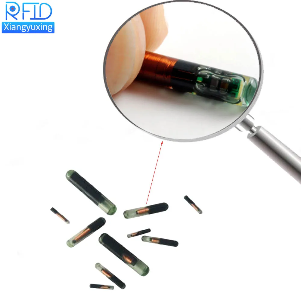 Animal Tracking Chip ubicaciondepersonas.cdmx.gob.mx