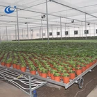 Bench Standard Greenhouse Welded Wire Mesh Rolling Bench Standard Size:2.5m*1.65m*0.75m
